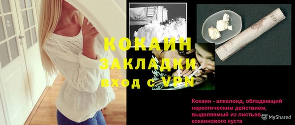 spice Богданович