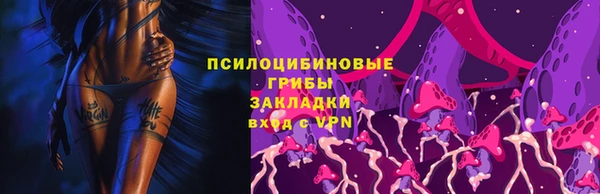 синтетический гашиш Богородицк