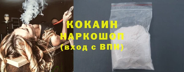 spice Богданович