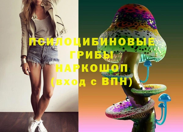 spice Богданович