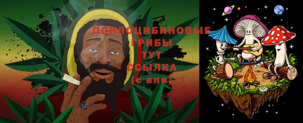 синтетический гашиш Богородицк