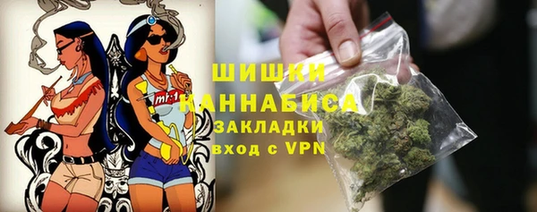 spice Богданович