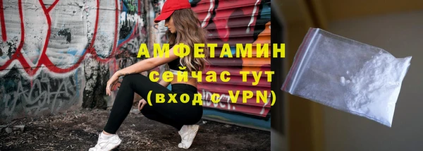 spice Богданович
