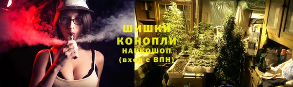 spice Богданович
