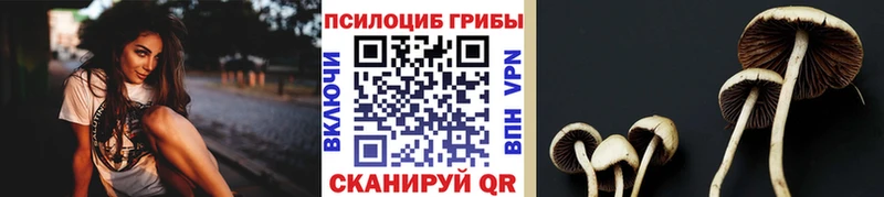 где найти наркотики  Дрезна  Галлюциногенные грибы мицелий 
